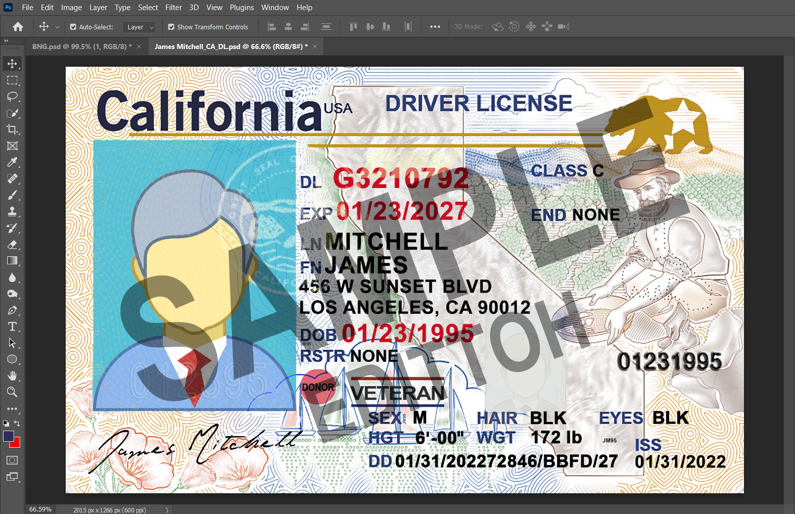 California (CA) Driver's License PSD Template - Image 3