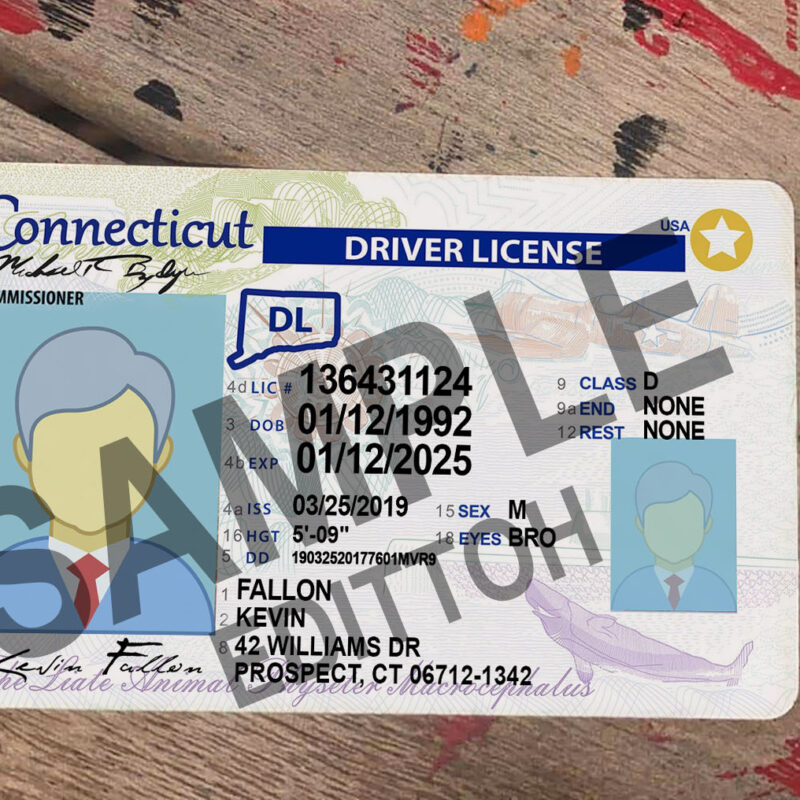 Connecticut (CT) Driver's License PSD Template