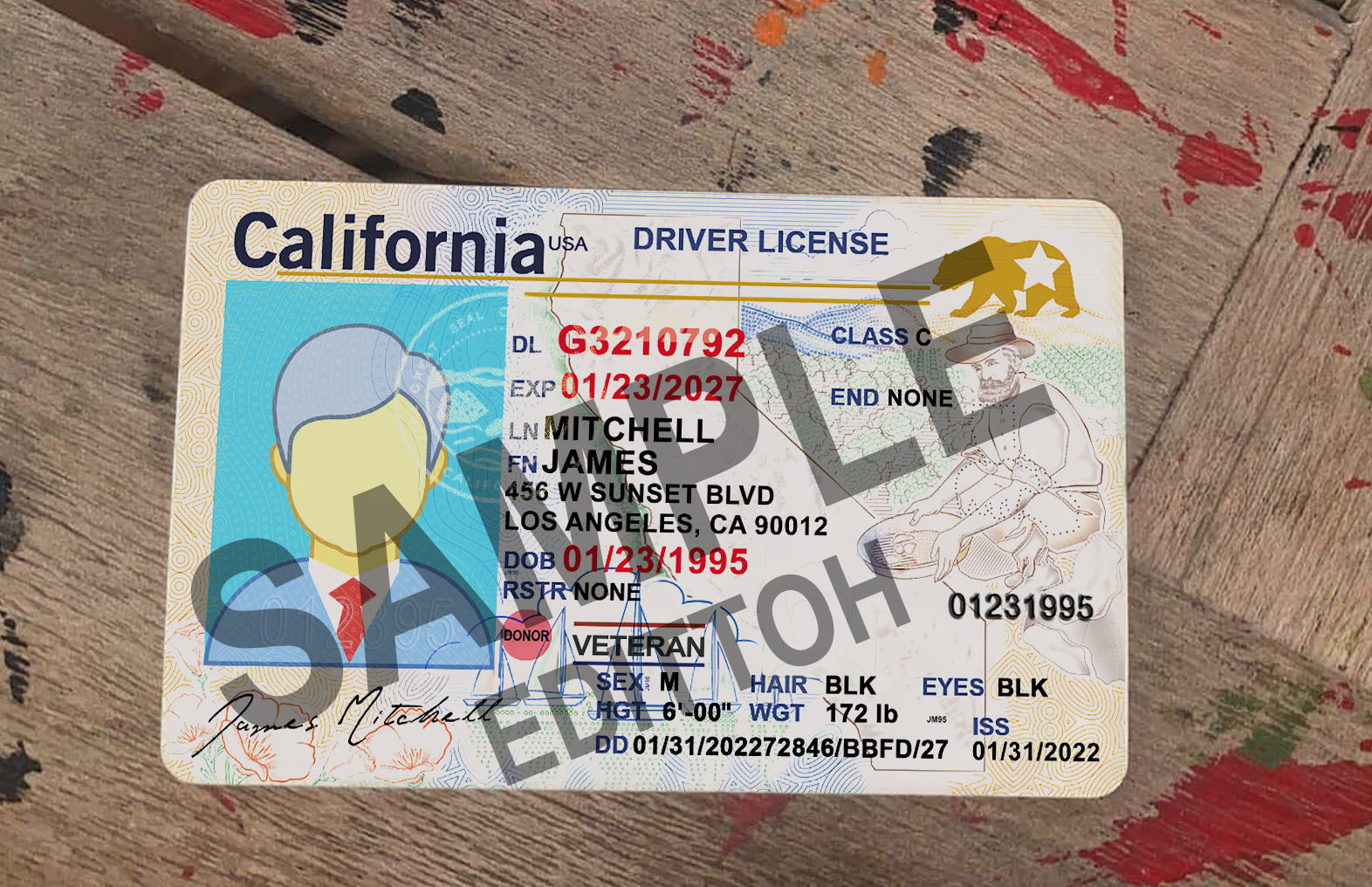 California (CA) Driver's License PSD Template
