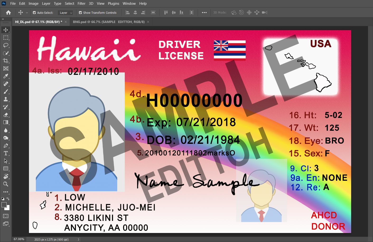 Hawaii (HI) Driver's License PSD Template - Image 3