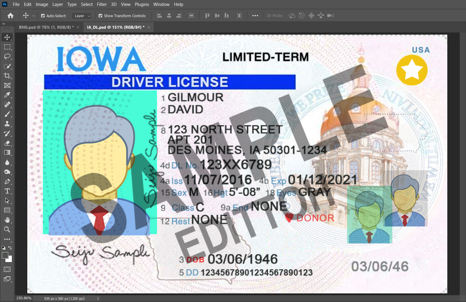 Iowa (IA) Driver's License PSD Template - Image 3