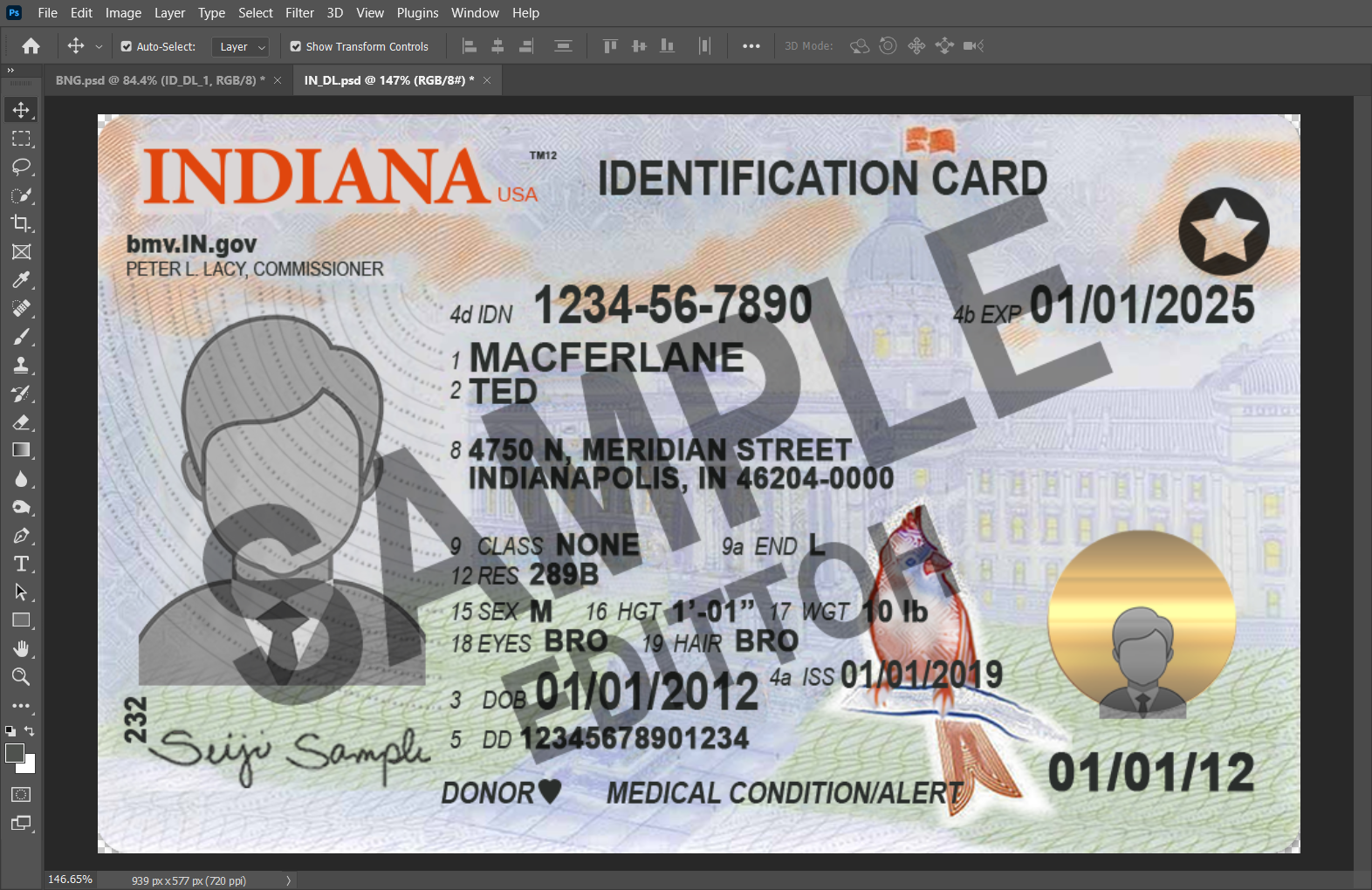 Indiana (IN) Driver's License PSD Template - Image 3