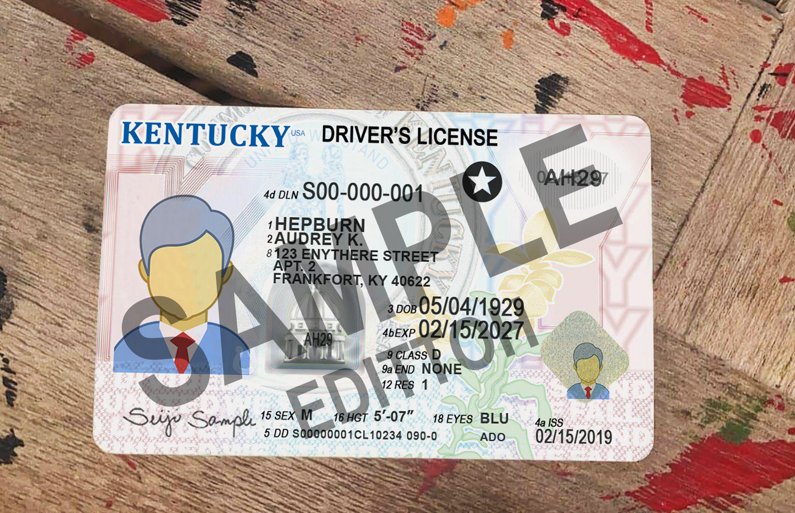 Kentucky (KY) Driver's License PSD Template