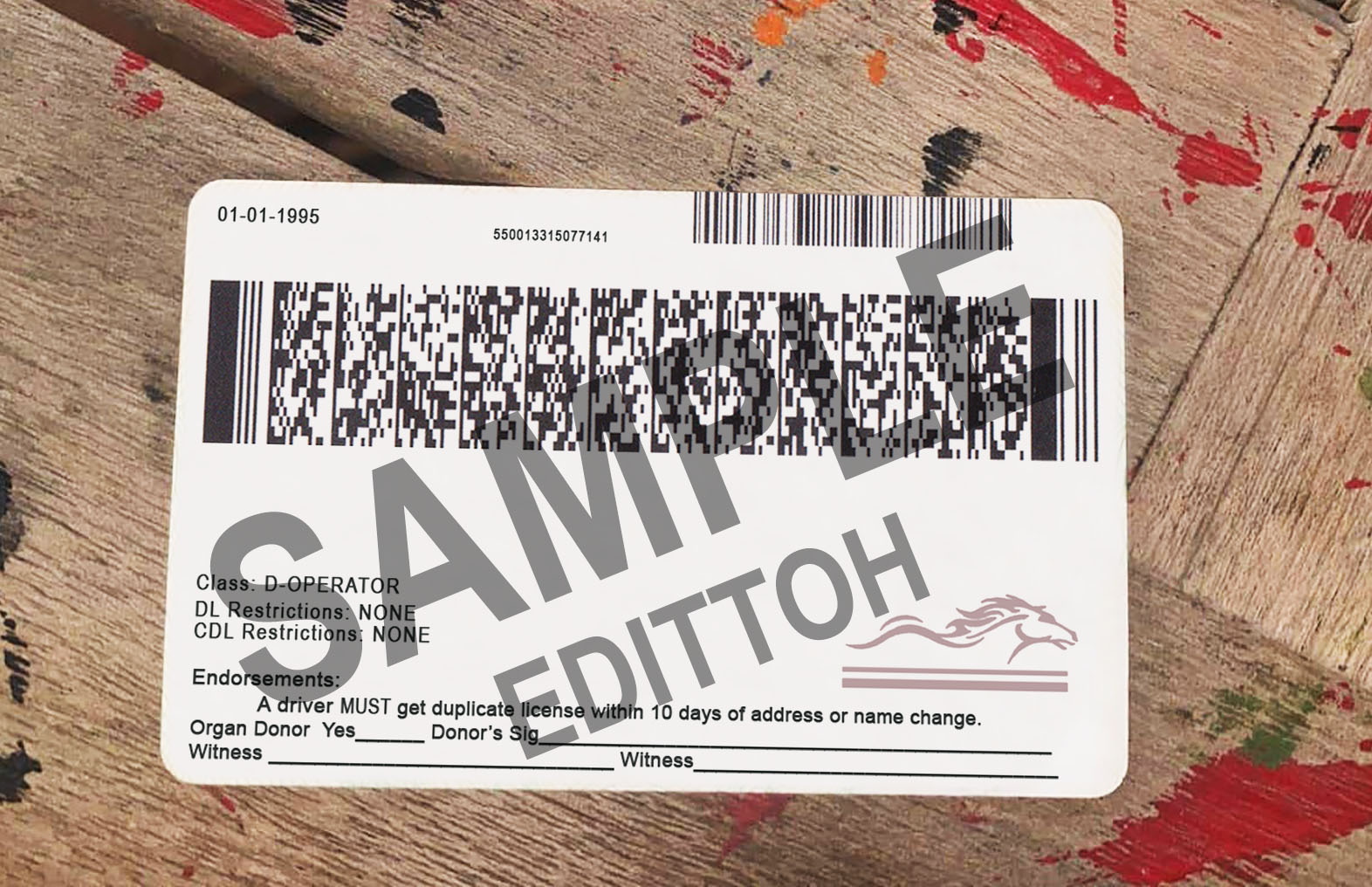 Kentucky (KY) Driver's License PSD Template - Image 2