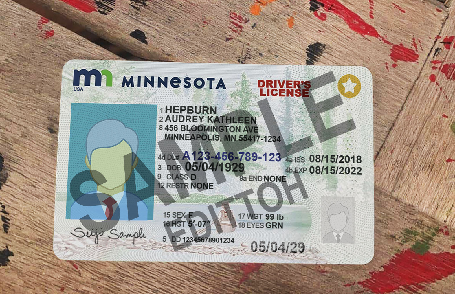 Minnesota (MN) Driver's License PSD Template