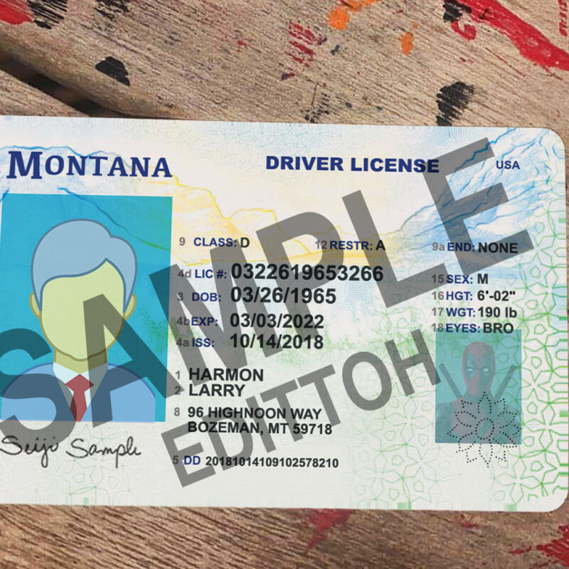Montana (MT) Driver's License PSD Template