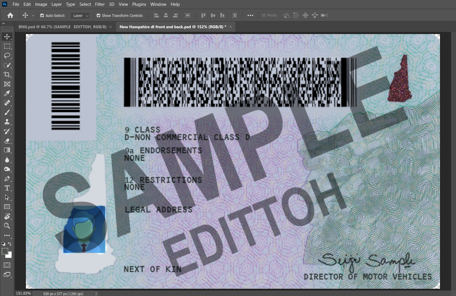 New Hampshire (NH) Driver's License PSD Template - Image 4