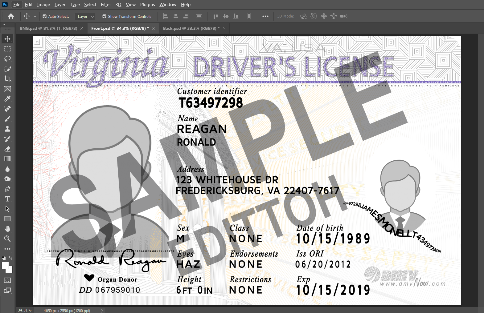 Virginia (VA) Driver's License PSD Template - Image 3