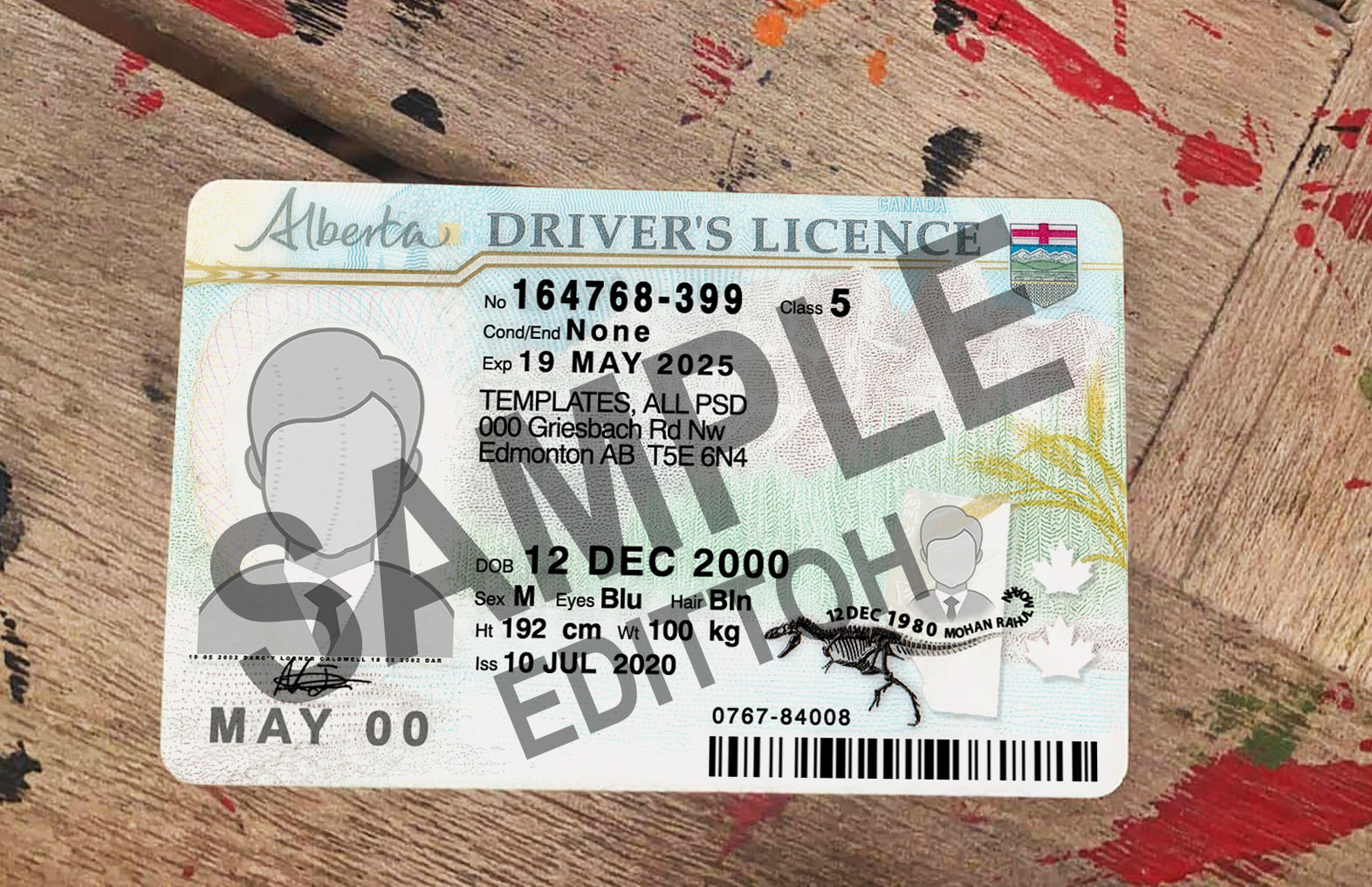 Alberta Driver's License PSD Template