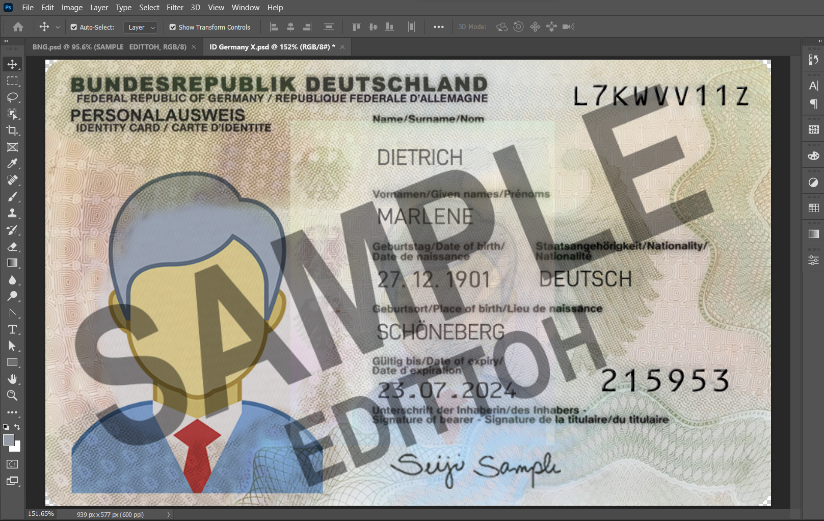 Federal Republic of Germany ID Card PSD Template - Image 3