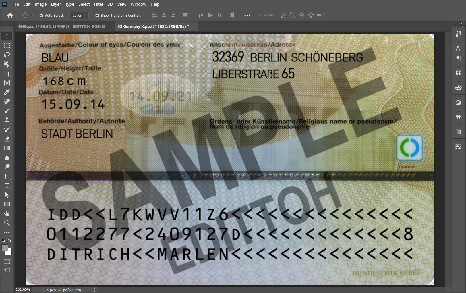 Federal Republic of Germany ID Card PSD Template - Image 4