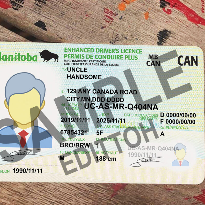 Manitoba Driver's License PSD Template