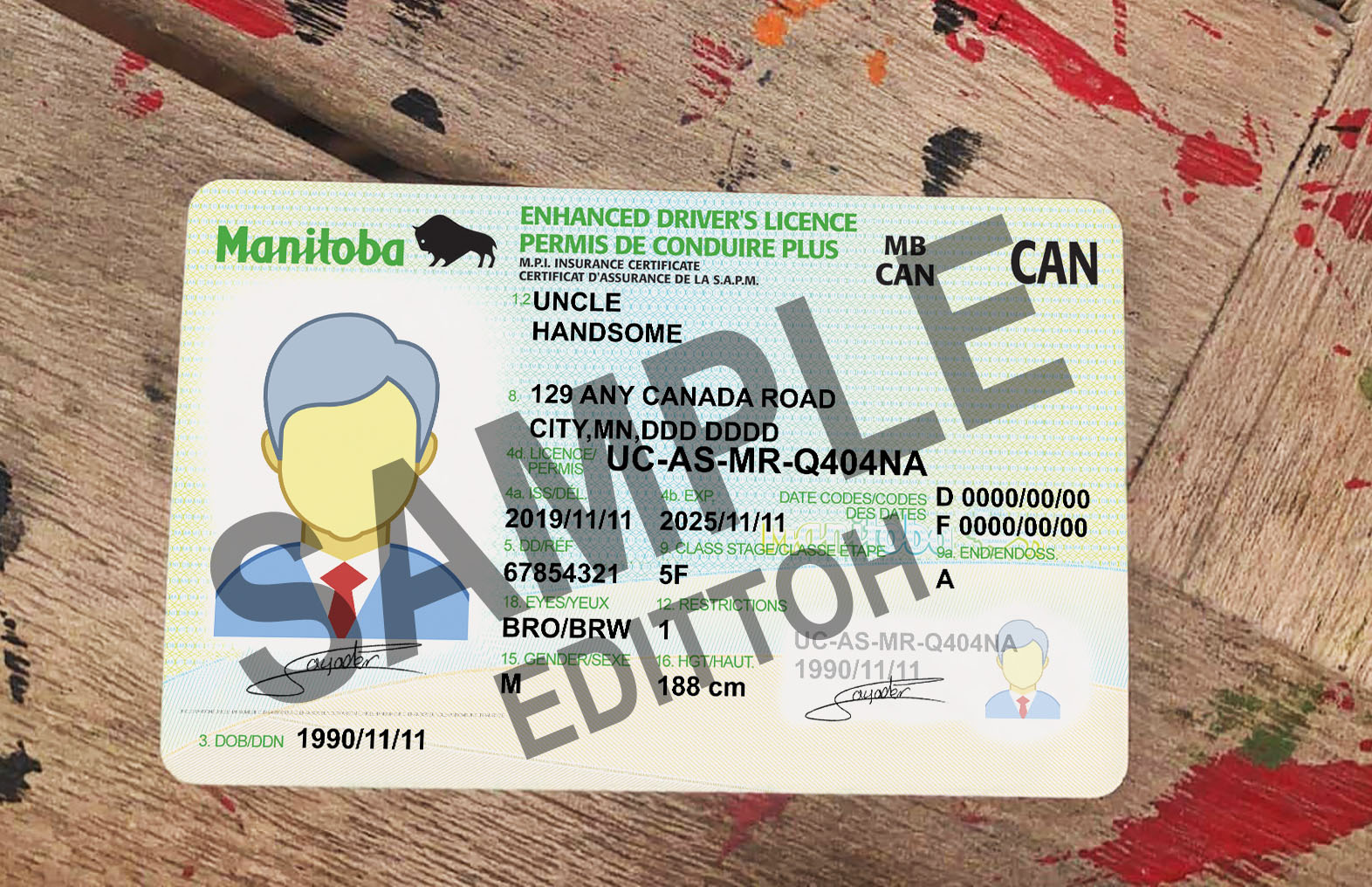 Manitoba Driver's License PSD Template