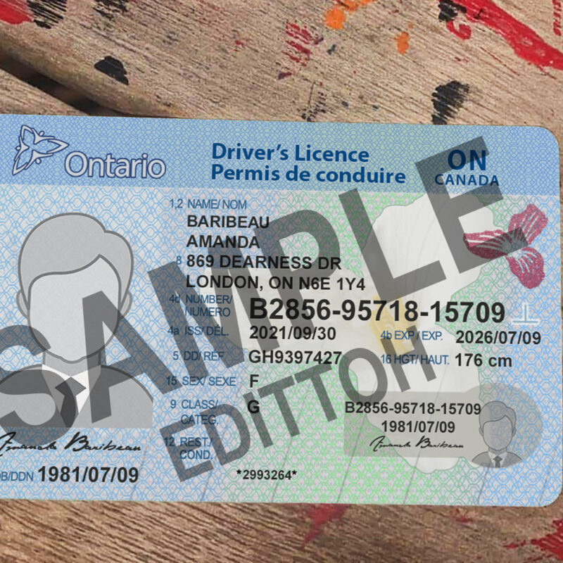 Ontario Driver's License PSD Template