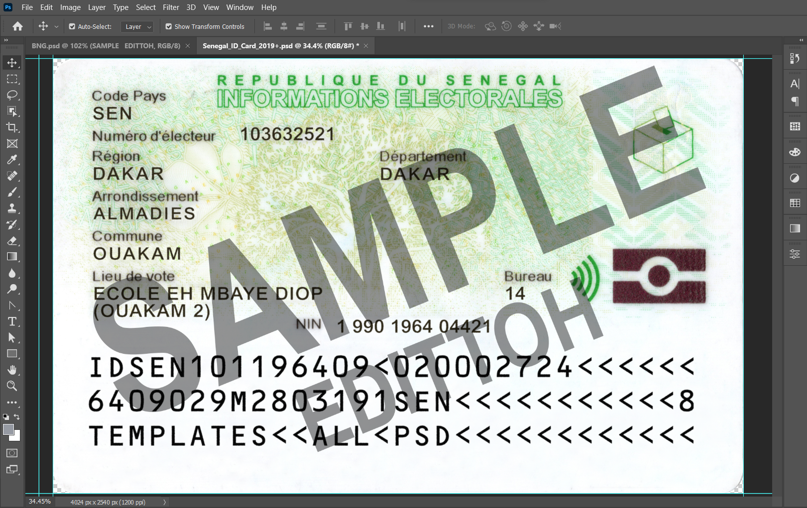 Republic of Senegal ID Card PSD Template - Image 4