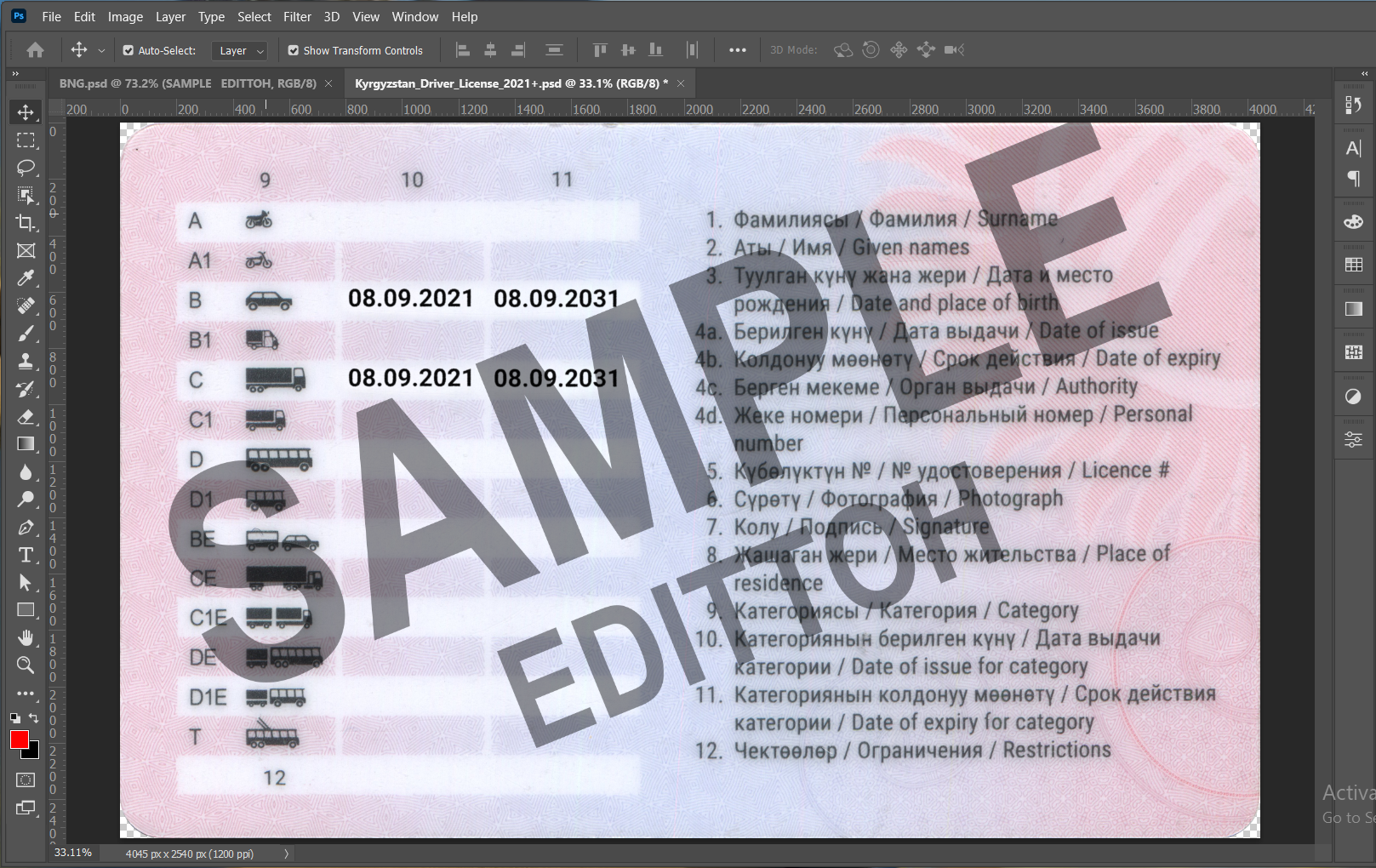 Kyrgyz Republic Driver's License PSD Template - Image 4