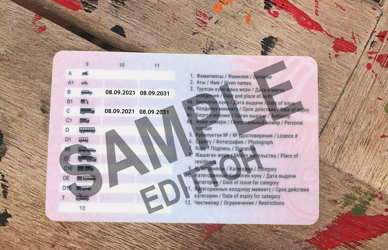Kyrgyz Republic Driver's License PSD Template - Image 2