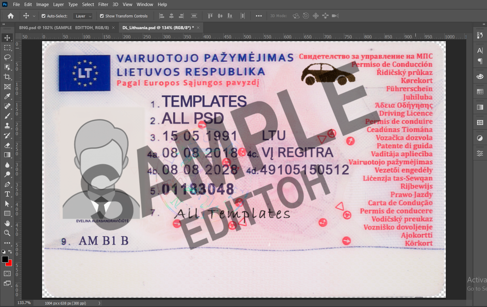 Republic of Lithuania Driver's License PSD Template - Image 3