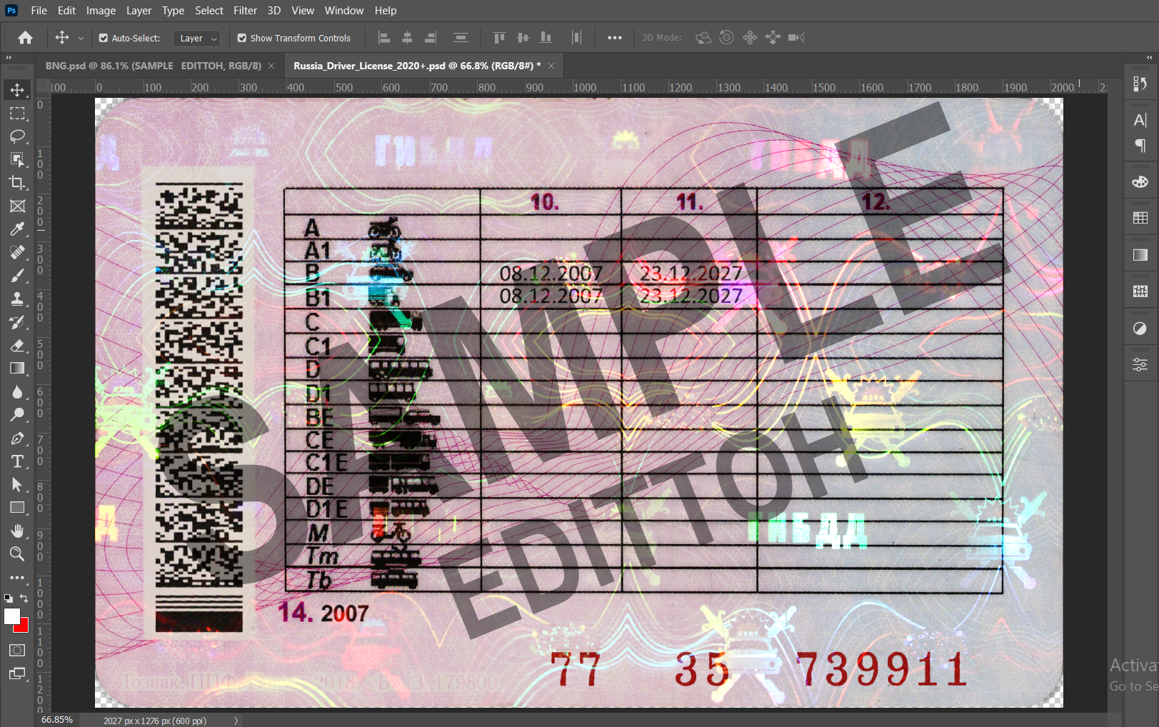 Russia Driver's License 2020+ PSD Template - Image 4